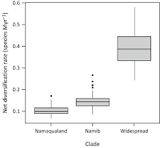 Image result for Jamesbrittenia integerrima