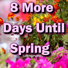 We did not find results for: 8 More Days Until Spring Spring Images Spring Spring Pictures