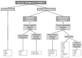 Check spelling or type a new query. Cells Free Full Text Hnscc Tumour Antigens And Their Targeting By Immunotherapy Html