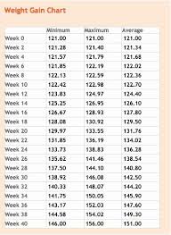 Pin On Sample Charts And Graphs Templates