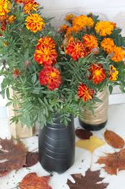 Check spelling or type a new query. Plastic Flower Vase Diy Easy Peasy Creative Ideas