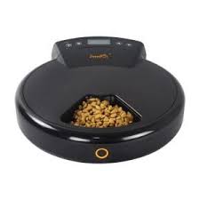 Does she prefer to eat multiple small meals throughout the day. Top 10 Best Automatic Cat Feeder Wet Food Dispenser Reviews 2019 Pet Food Dispenser Automatic Cat Feeder Food Animals