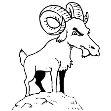 Goat face coloring page 3 pack. Mountain Goat Is Not Happy Coloring Pages Color Luna