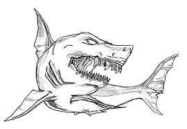 Download and print on white cardstock. Killer Shark Coloring Pages
