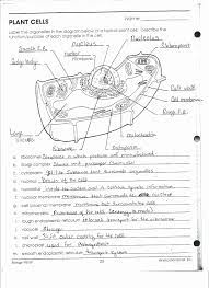 Maybe you would like to learn more about one of these? Ask A Biologist Animal Cell Coloring Page Answers