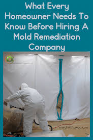 The answer to the question how much does a mold inspection cost? isn't straightforward. What You Need To Know Before Hiring A Mold Remediation Company Mold Help For You