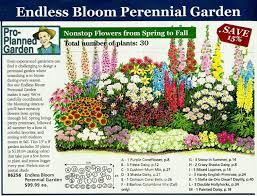 This native perennial tosses open blooms in shades of red and orange starting in midsummer and extending well into fall. Colorado Perennial Garden Layout Perennial Garden Layout Planner Best Idea Garden 2018 Perennial Garden Plans Flower Garden Plans Perennial Garden