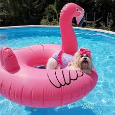 Bei Dem Wetter Jagt Man Doch Keinen Hund Vor Die Tur Folge Uns Auch Bei Instagram Und Finde Erfrischende Inspiration Schw Outdoor Decor Decor Outdoor