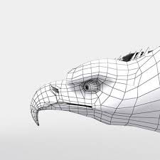 Pin On 3d Wire Frame