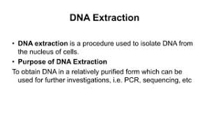 Comparison Of Paper-Based Nucleic Acid Extraction Materials For  Point-Of-Care Testing Applications | Cellulose