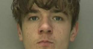 Police hunt wanted teen Leon Norman in connection with carjacking