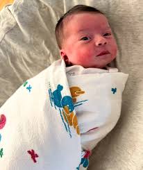 Amanda Polansky-CT&RI Realtor