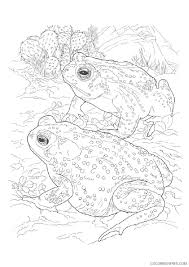 We did not find results for: Realistic Frog Coloring Pages For Adults Coloring4free Coloring4free Com