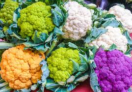 What to plant right now. Good For You Veggies You Can Plant Right Now Strange S Florists Greenhouses And Garden Centers Richmond Va