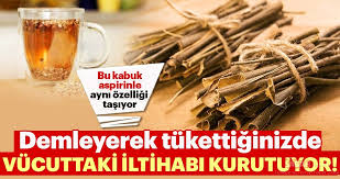Vucuttaki Tum Iltihabi Kurutuyor Galeri Saglik