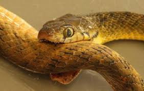 Вирус Petya.A заразил компьютеры "Газпрома", - Reuters - Цензор.НЕТ 3392