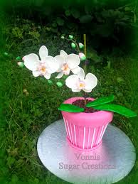 Flower Cake Orchidea Phalaenosis As A Birthday Gift Made Of Flower Paste And Fondant Fondant Torten Tortendekoration Blumentopf