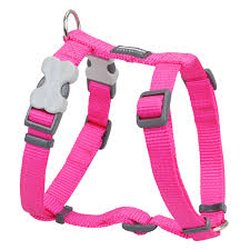 red dingo classic dog harness