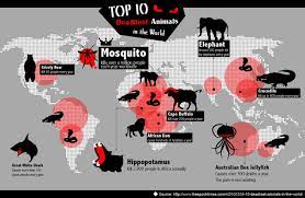 Top 10 Deadliest Animals In The World Infographic Deadly Animals Top 10 Deadliest Animals Animals Of The World