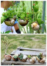 Diy Snail Shell Mini Garden Mini Garden Snails In Garden Snail Shell