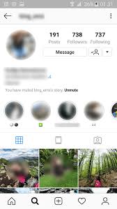 From there, you can choose whether to mute posts or mute posts and stories from an account. How To Unmute An Instagram Story