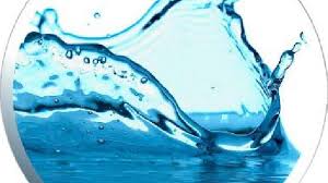 Pnk satong biru telaga air. Plankton Ia Adalah Yang Mudah Bebas Terapung Di Dalam Air