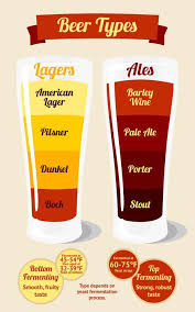 Ale And Lager What S The Difference Lager Ale Beer Types