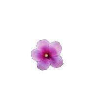 Llll➤ hundreds of beautiful animated flowers gifs, images and animations. Flower Sticker By Absolut Vodka For Ios Android Giphy