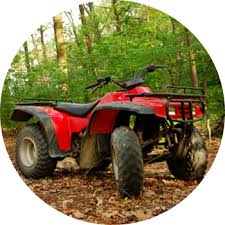 South carolina yellow pages > charleston yellow pages > automotive > dealers. Atv Lawn Garden Tires In Charleston Sc Williams Tire