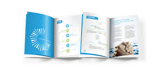 Landian Technology| 青岛广告公司|青岛设计公司|龙道品牌策划 ...