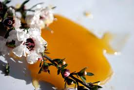 Manuka honig kann zwar dabei helfen, das immunsystem zu stärken und die haut von innen heraus gesunden zu lassen. Manuka Honig Wirkung Und Anwendung