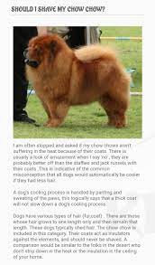 Grooming our feline friends takes approximately 3 hours. Moon Dog Mobile Grooming Home Facebook