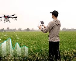 Image de Drone imagery of crops