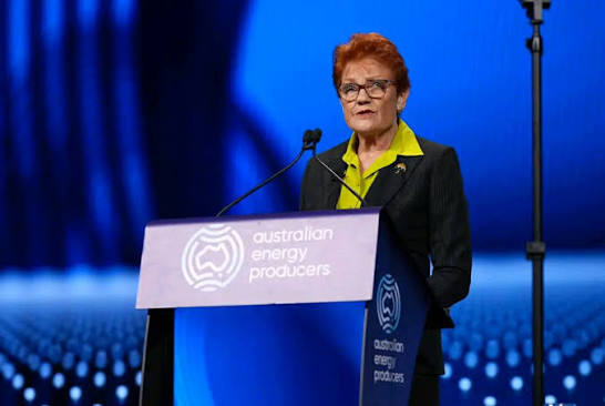 Pauline Hanson has taken centre stage at a major energy conference in Adelaide, pitching a controversial solution to the nation's energy needs. The One Nation leader wants taxpayers to own a share