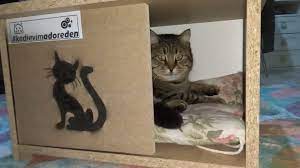 adore nin kedi evi kampanyasi cercevesinde ucretsiz olarak dagittigi 10 tl kargo bedeli odemek kosuluyla kedi evinin montajini bu viodeo kedi kedi evi oya