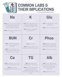 Common Clinical Nutrition Labs Nutrition Cheat Sheets Nutrition Clinic Nutrition And Dietetics