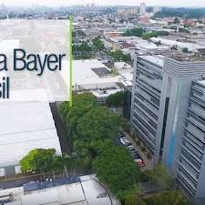 We would like to use cookies to improve your future experience on our website. Working At Bayer Glassdoor