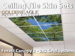We did not find results for: Ceiling Tile Skin Kit 2x2 Grid Glue Up Decorative Panel Cover Wrap Trees Woods Sky Forest Canop Drop Ceiling Tiles Decorative Drop Ceiling Tiles Ceiling Tile