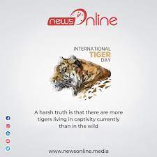 The aim of the day is to we can also use this day to support tiger conservation issues and to raise awareness. International Tiger Day 2020 Images Quotes Wishes Pictures Message