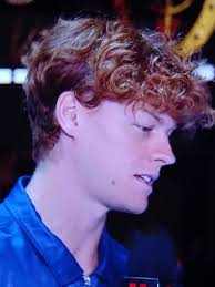 Djokovic ha perso perché ha 38 anni o Sinner ha vinto perché è più forte?  Vi rispondo io: Sinner ha vinto perché è più forte.😊✌️