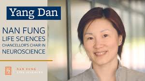 Dan Awarded Endowed Chair