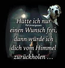 Euch Alle Wurde Ich Zuruckholen Traurige Spruche Trauergedicht Nachdenkliche Spruche