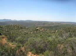 Appendix I: Cultural Resources Phase 1 Survey and Inventory, Sycamore  Canyon/Goodan Ranch Preserve, Cielo and Wu Properties Addi