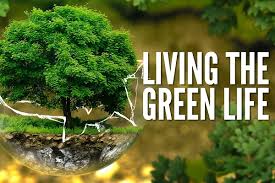 Lựa Chọn Sống Xanh Với 8 Đồ Vật Thân Thiện Với Môi Trường