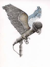 Animal Music Parrot Microphone Equalizer By Redmer Hoekstra Metamorphosis Art Surrealism Drawing Surreal Art