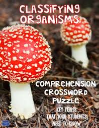 Classifying Organisms Comprehension Crossword Stuffed Mushrooms Faeries Gardens Dream Symbols