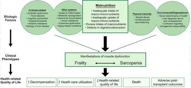Why do we care about frailty in liver disease? | AASLD