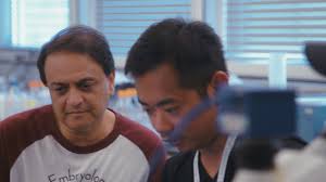 Introducing Nipam Patel: Director, Marine Biological Laboratory