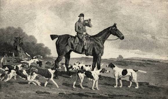 360+ Victorian Fox Hunting Illustrations - iStock