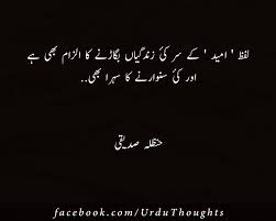 10 Urdu Quotes Images About Zindagi, Success and People | Urdu ...